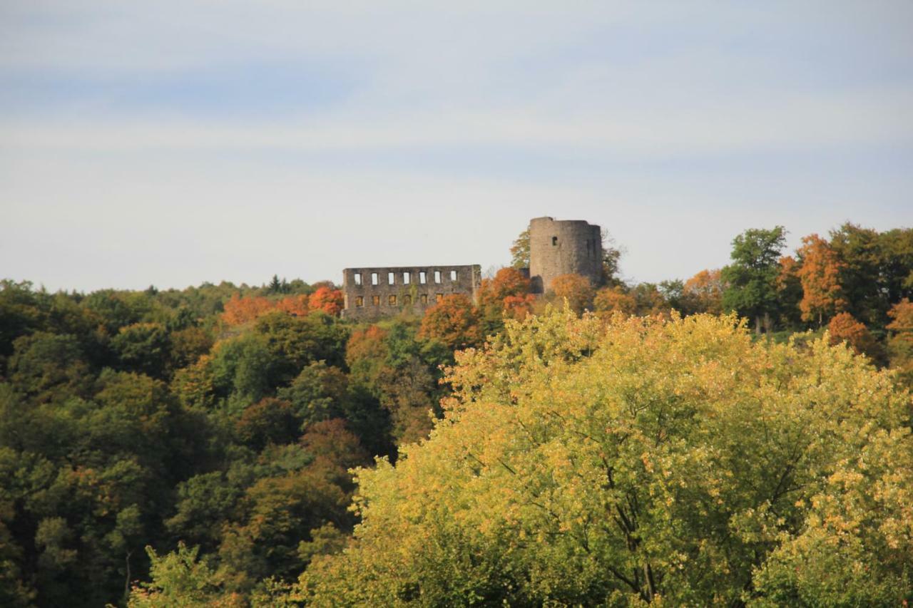 "Fewo Am Siegsteig" Apartment Dattenfeld Luaran gambar